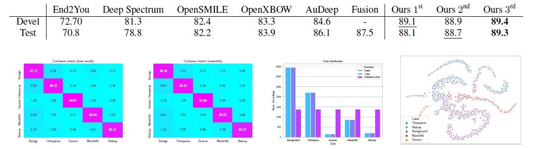 Graph or table showing classification accuracy or confusion matrix for primate calls