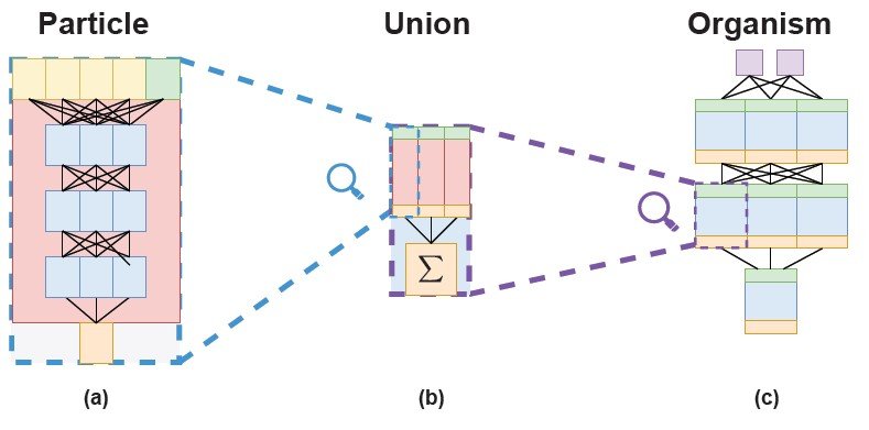Diagram showing individual self-replicating units interacting to form a larger Organism Network structure