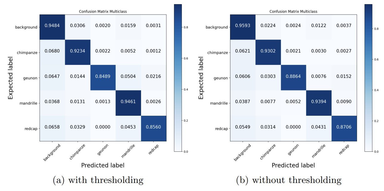 Graphs or tables showing improved classification results (accuracy, UAR) compared to baselines