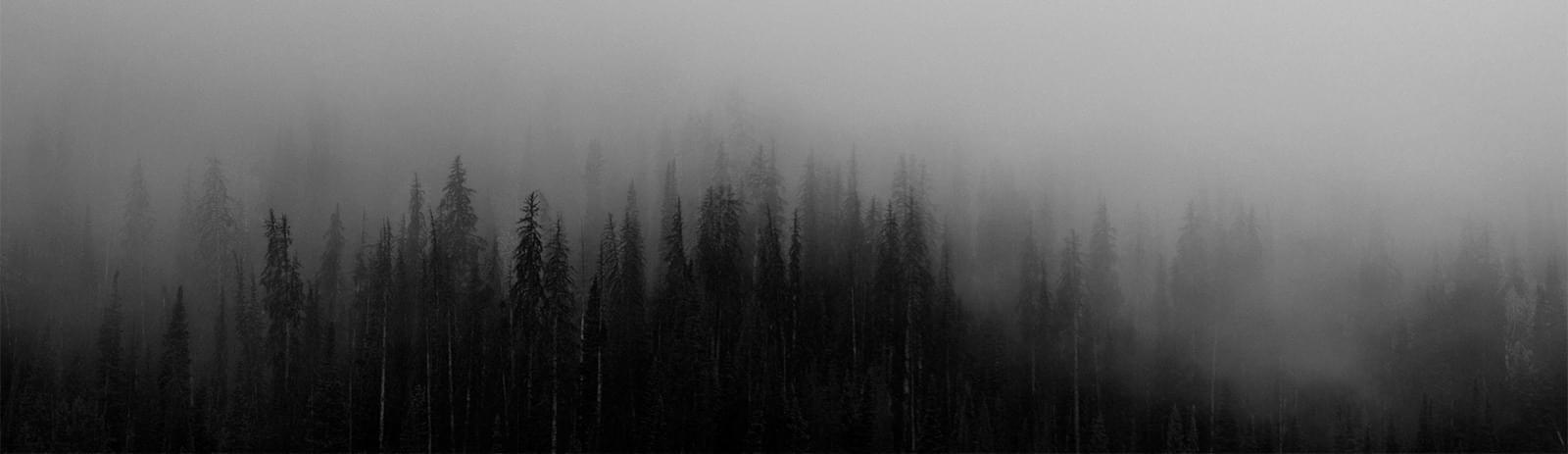 /steffen/website/raw/commit/3c075fe76b0971f3ccc63c6940b63306d6100fb2/test/assets/images/unsplash-image-7.jpg