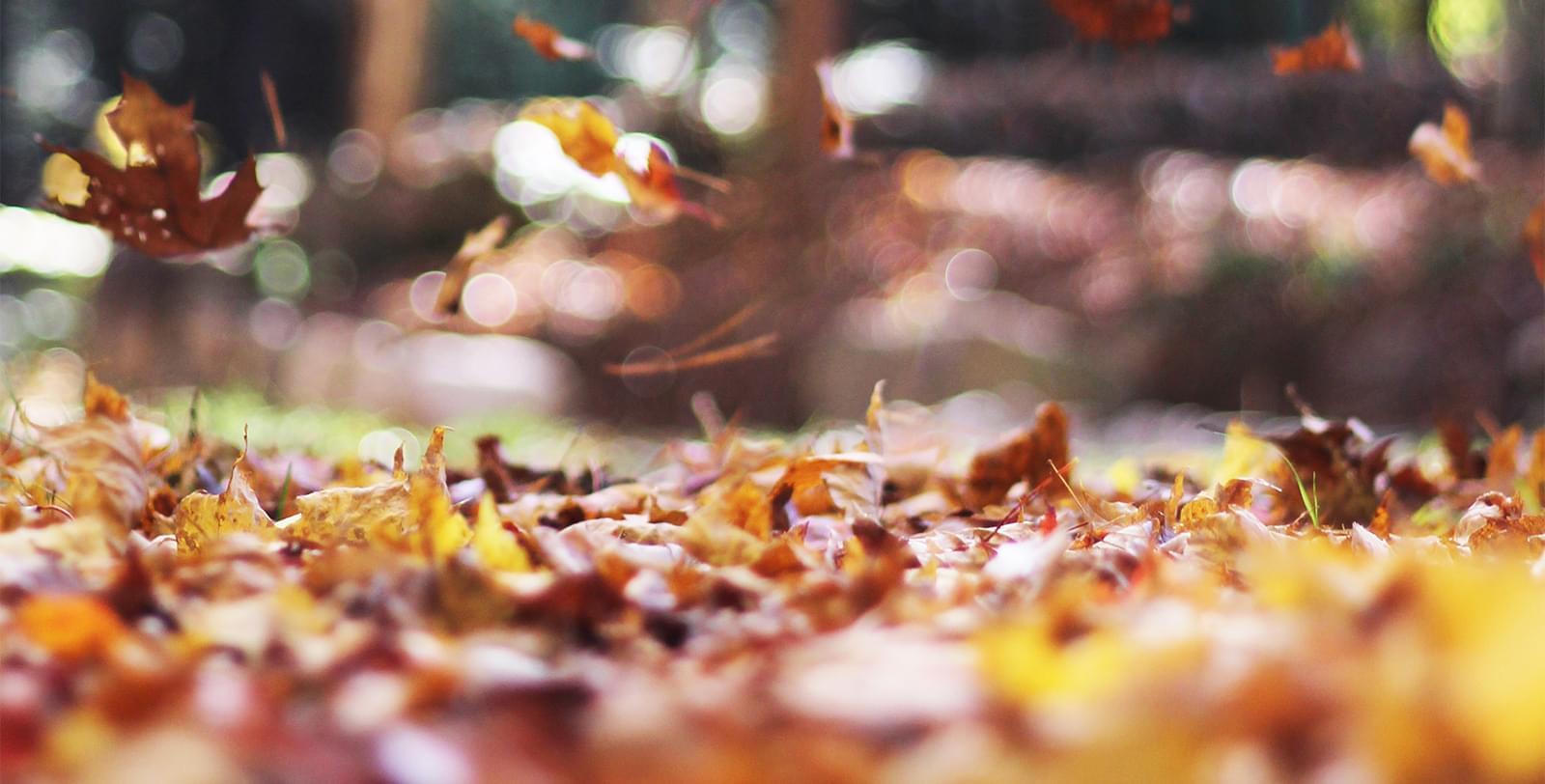 /steffen/website/raw/commit/3c075fe76b0971f3ccc63c6940b63306d6100fb2/test/assets/images/unsplash-image-8.jpg