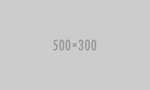 /steffen/website/raw/commit/4b8de03b82a2a78c16af805b29b5dc1264d8f825/test/assets/images/500x300.png