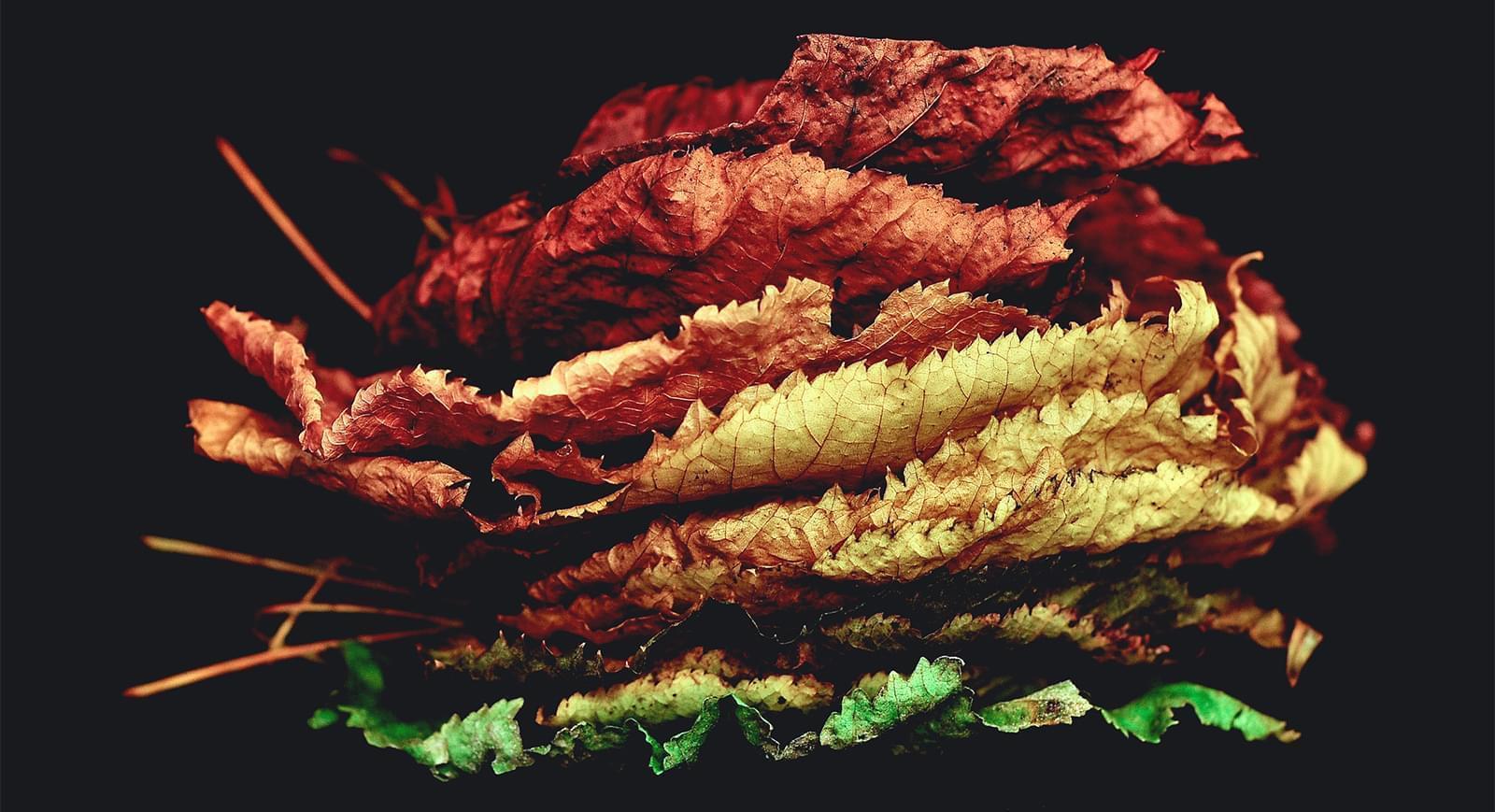 /steffen/website/raw/commit/4b8de03b82a2a78c16af805b29b5dc1264d8f825/test/assets/images/unsplash-image-4.jpg