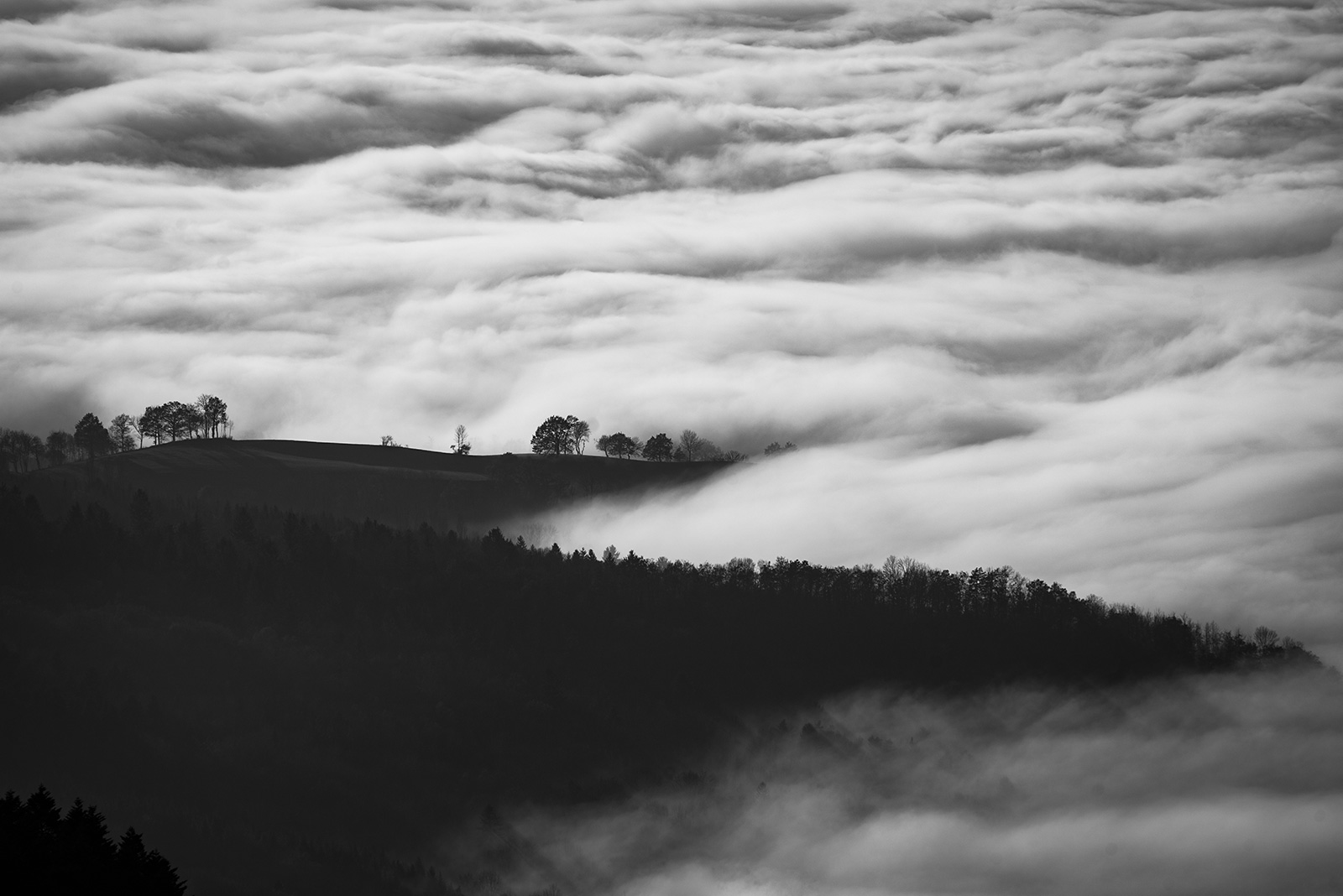 /steffen/website/raw/commit/a9f927a353ab05be48cdacfe87fca1257ab61a7c/docs/assets/images/unsplash-gallery-image-3.jpg