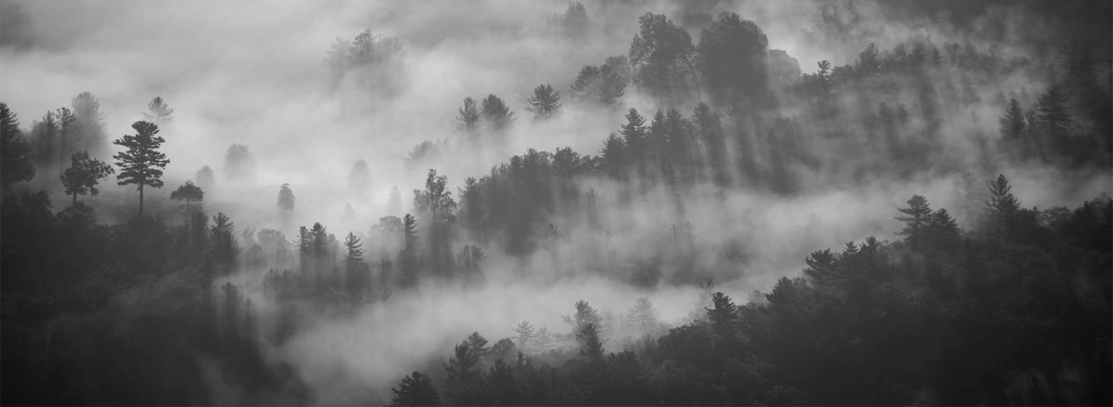 /steffen/website/raw/commit/a9f927a353ab05be48cdacfe87fca1257ab61a7c/docs/assets/images/unsplash-image-1.jpg